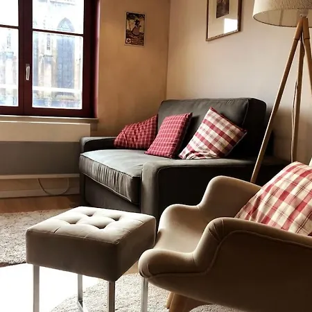 B'm Yerri - 4 Pers - Vue Cathedrale Apartamento Colmar